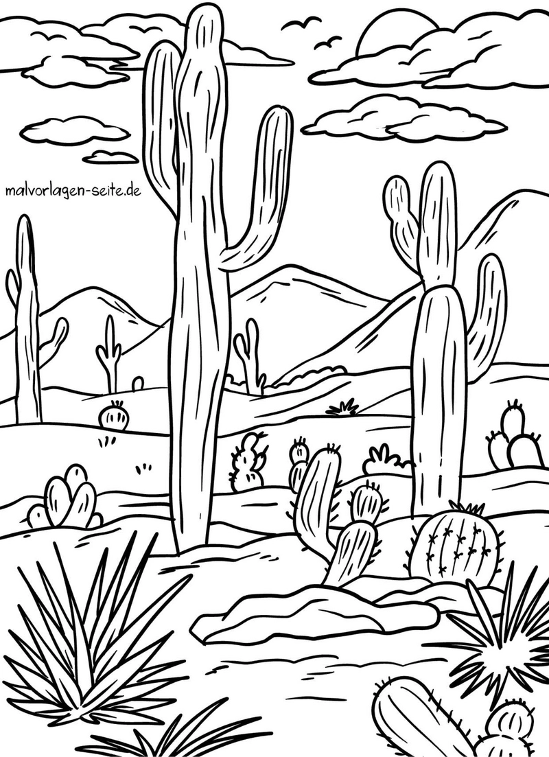 wuestenlandschaft-mit-kaktus-ausmalvorlage