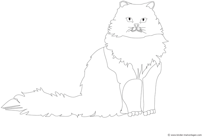 wuschelige-katze-malvorlage