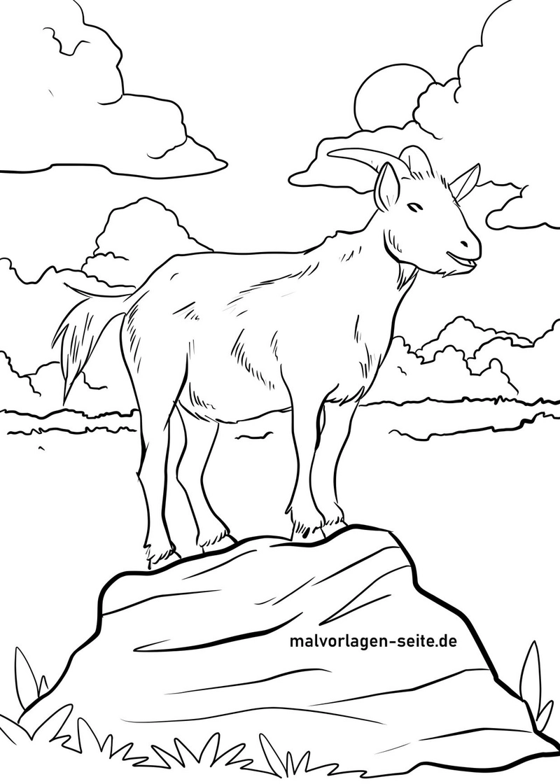ziege-auf-felsen-in-natur-malen