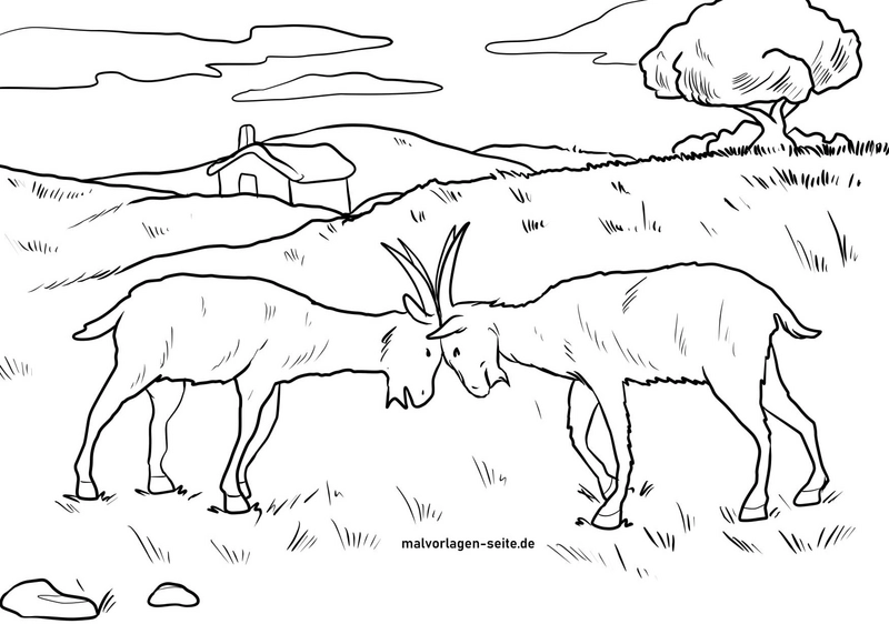 ziegen-in-der-natur-ausmalvorlage